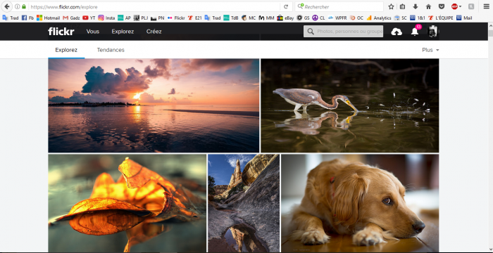 Capture d’écran Flickr - Comment apprendre la photo ?
